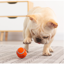 Heißer Verkauf bester Hundespielzeugball